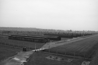 Auschwitz II Memorial (Birkenau), 2003'© Matthias Naumann