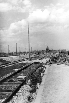 Die „Neue Rampe“ in Auschwitz II (Birkenau)'© National Archives, Washington, DC
