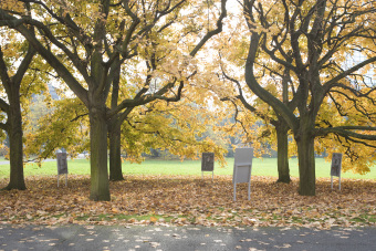 Fototafeln im Park des I.G. Farben-Hauses
'© Jessica Schäfer